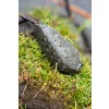 Korum Bait Gripper Feeder Krmítko 90gr