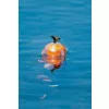 Korum Floating Window Combi Feeder Fluoro Top Plovoucí okénková krmítka