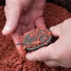 Korum Dura-method Feeder 30g Method krmítko