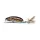 LUREFANS CC70 - Floating 12,5g/70mm, barevný kód 17 Brown Frog Wobler