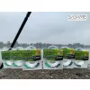 Sasame Fluoro Carbon Superfine Křišťálově čistý 0,28mm 50m Fluorocarbon Návazec