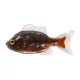 Livetarget Sunfish Unrigged Brown-Black 8,5cm Gumová slunečnice 4ks
