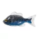 Livetarget Sunfish Unrigged Silver-Blue 8,5cm Gumová slunečnice 4ks
