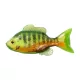 Livetarget Sunfish Unrigged Chartreuse-Orange 8,5cm Gumová slunečnice 4ks