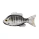 Livetarget Sunfish Unrigged White-Albino 8,5cm Gumová slunečnice 4ks
