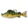 Livetarget Yellow Perch Swimbait Žluto-zelená 11,3cm 21gr Plastová nástraha