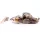 Livetarget Goby Paddletail Rigged Brown-Chartreuse 7,1cm 10gr Potápivá gumová nástraha