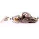 Livetarget Goby Paddletail Rigged Brown-Chartreuse 8,4cm 12gr Potápivá Gumová Nástraha