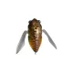 Megabass Gran Siglett 4,25cm 7gr Higurashi Brouk Wobbler