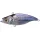 Megabass CutVib 55 HW 5,5cm 10gr LZ Hiiragi Wobler