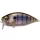 Megabass ORC Over Rev Crank 7cm 17,5gr Gillkko Wobler