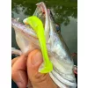 Fox Rage Scent Shads Bulk Chartreuse Ayu 7cm Plastová nástraha