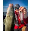 Fox Rage Scent Shads Bulk Crystal 9cm Plastová nástraha