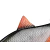 Fox Rage Ultra Realistic Roach Replicant plastová nástraha Plotice 14cm 45gr