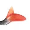 Fox Rage Ultra Realistic Roach Replicant plastová nástraha Plotice 14cm 45gr