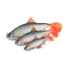 Fox Rage Ultra Realistic Roach Replicant plastová nástraha Plotice 14cm 45gr