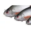 Fox Rage Ultra Realistic Roach Replicant plastová nástraha Plotice 14cm 45gr