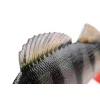 Fox Rage Ultra Realistic Perch Replicant Okoun Plastová nástraha 10cm 22gr