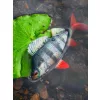 Fox Rage Ultra Realistic Perch Replicant plastová nástraha Okoun 14cm 52gr