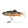 Fox Rage Jointed Replicants 32cm Orange Belly Perch UV Nástraha