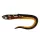 Fox Rage Slick Eel Burbot plastová nástraha 21cm 1ks