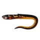 Fox Rage Slick Eel Burbot plastová nástraha 21cm 1ks