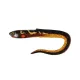 Fox Rage Slick Eel Burbot Plastová nástraha 28cm 1ks