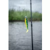 Fox Rage Hromadně naložené Shads Zander Pro UV Firetiger 10cm 4/0 10gr Plastová nástraha