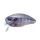 OSP Buzzn Crank 5cm 10gr Rpo45 Real Blue Gill Wobler