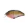 OSP Blitz Max 6,2cm 12,5gr L16A Dazzler Baby Gill Wobbler