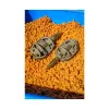 Preston ICS In-Line Dura Flat Method M 75gr Method Feeder košík