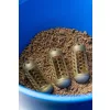 Preston Bait Up Window Krmítko 70gr