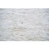 Preston Kerry Pole Rig Hotový návazec na děličku 1gr