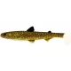 WESTIN HypoTeez Shadtail 11,5cm 11g Natural Pike 2ks Plastová nástraha