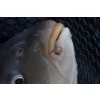 Preston Hookable Bait Bands Gumové kroužky na nástrahy S 128ks