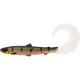 WESTIN BullTeez Curltail 8cm 3g Bling Perch Box s 60ks Plastová nástraha
