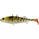 WESTIN Stanley the Stickleback Shadtail 5,5cm 1,5g Pearl Stickleback Box w. Plastová nástraha