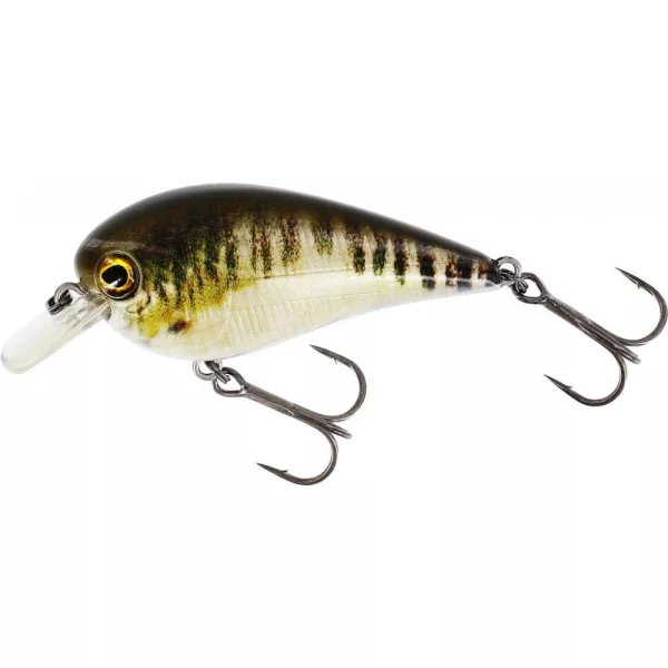 WESTIN BassBite 2.5 Squarebill 7cm 16g Plovoucí Skutečná Střevle Wobler