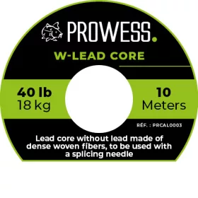 Prowess W-lead Core návazcový materiál