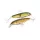 YO-ZURI SASHIMI JOINTED SW FLOATING 100mm - CMBK kód barvy Wobler