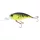 Sakura Crankit +2 Zatmění Tygr 6,0cm 14,0gr Střední hloubka Crankbait