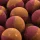 SBS rozpustné prémiové boilies M3 1 Kg 20 Mm