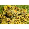 Speciál Mix 2,5mm Játra Method Carp Pelety 500gr