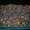 Stég PVA-Spod Mix 3-5-8mm Rybí peletová směs 800gr