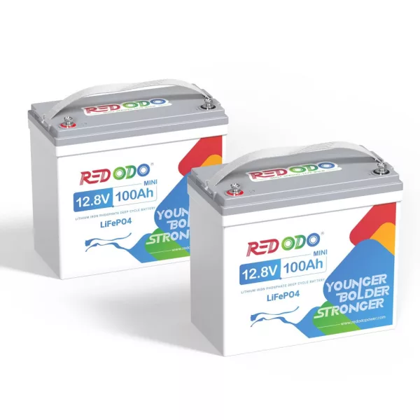 Redodo LiFePO4 12V 100Ah 1,28kWh MINI Baterie