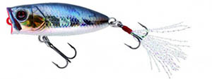 Aurora Minnow